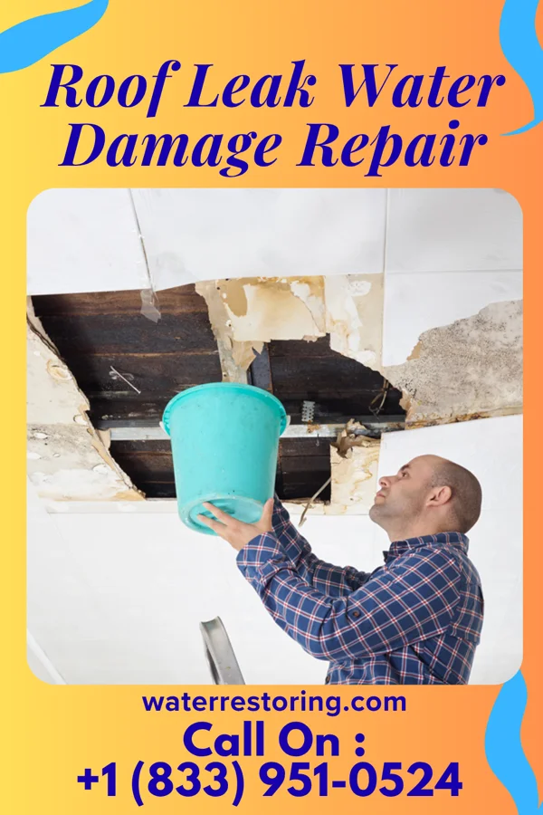Roof Leak Water Damage Repair in Prairie Farm, WI