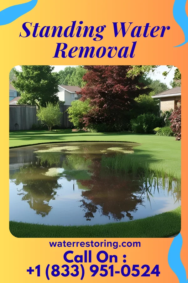 Standing Water Removal in Prairie Farm, WI